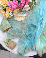 NeelAab NoorLeher Designer Saree