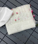 Noor-e-Kamal Lucknowi Embroidered Pure Organza Saree with Satin Silk Blouse
